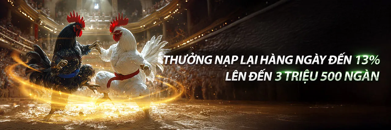 Sân chơi đá gà trực tuyến win78 sôi động và chuyên nghiệp