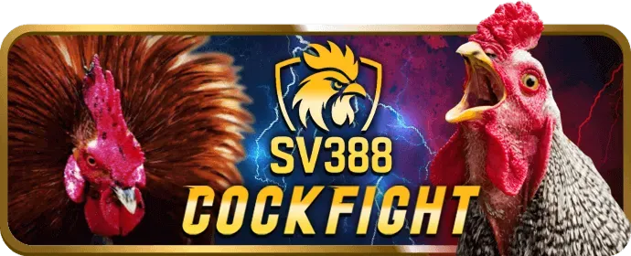 Hướng dẫn chơi game bài hiệu quả tại win78
